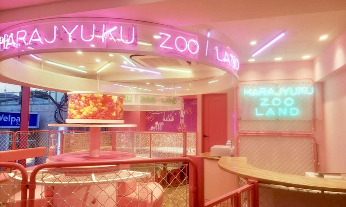 原宿かわいい動物園 Harajuku Pop Web