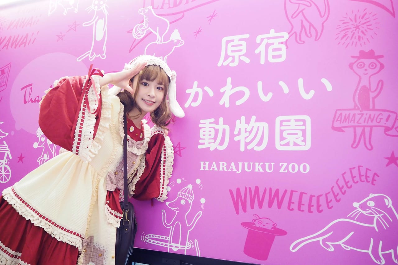 話題の動物カフェに行ってみた Vol 5 原宿かわいい動物園 Harajuku Pop Web