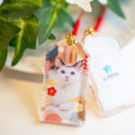 全国の猫カフェ店舗にて、「ニューイヤーイベント」を開催